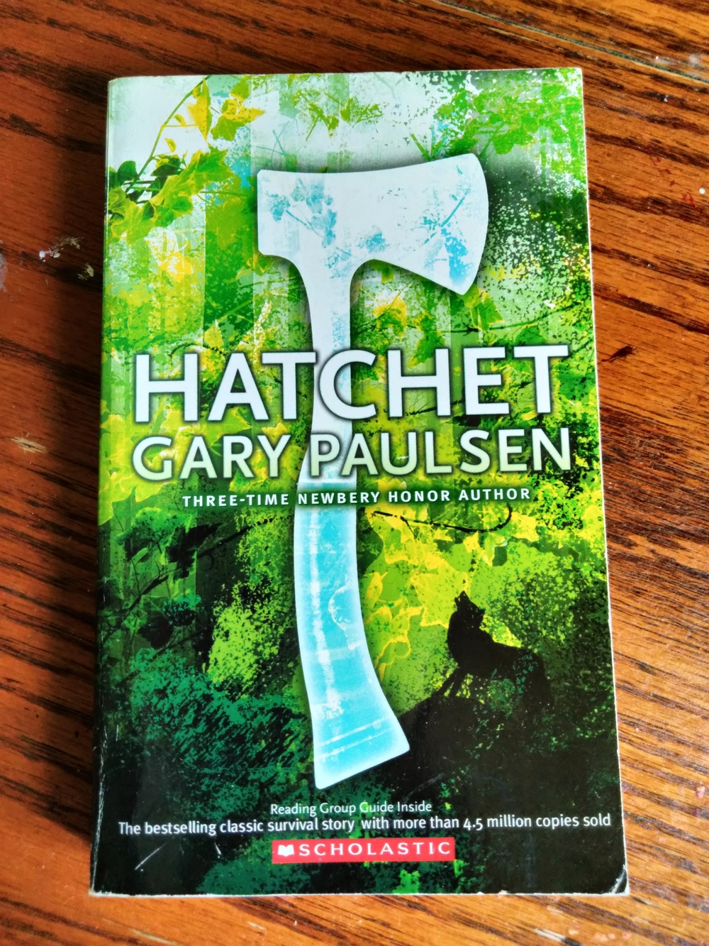 Hatchet, Paperback by Gary Paulsen